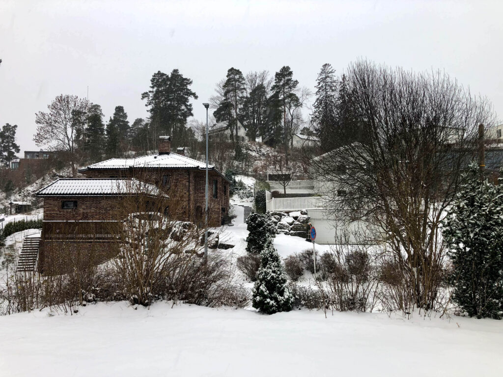 The first proper snow on 30 Nov 2021